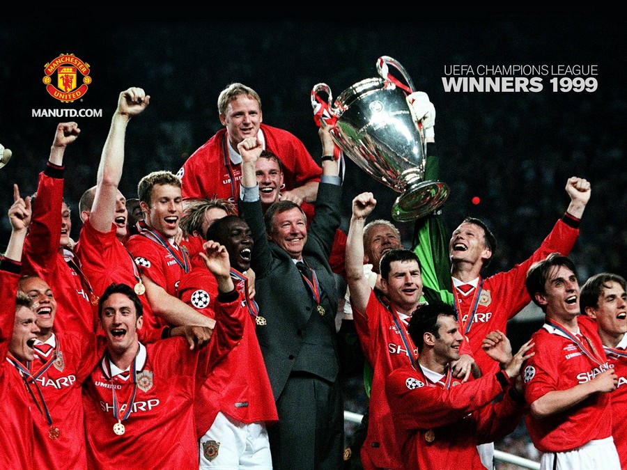 他们不仅为 他们不仅为